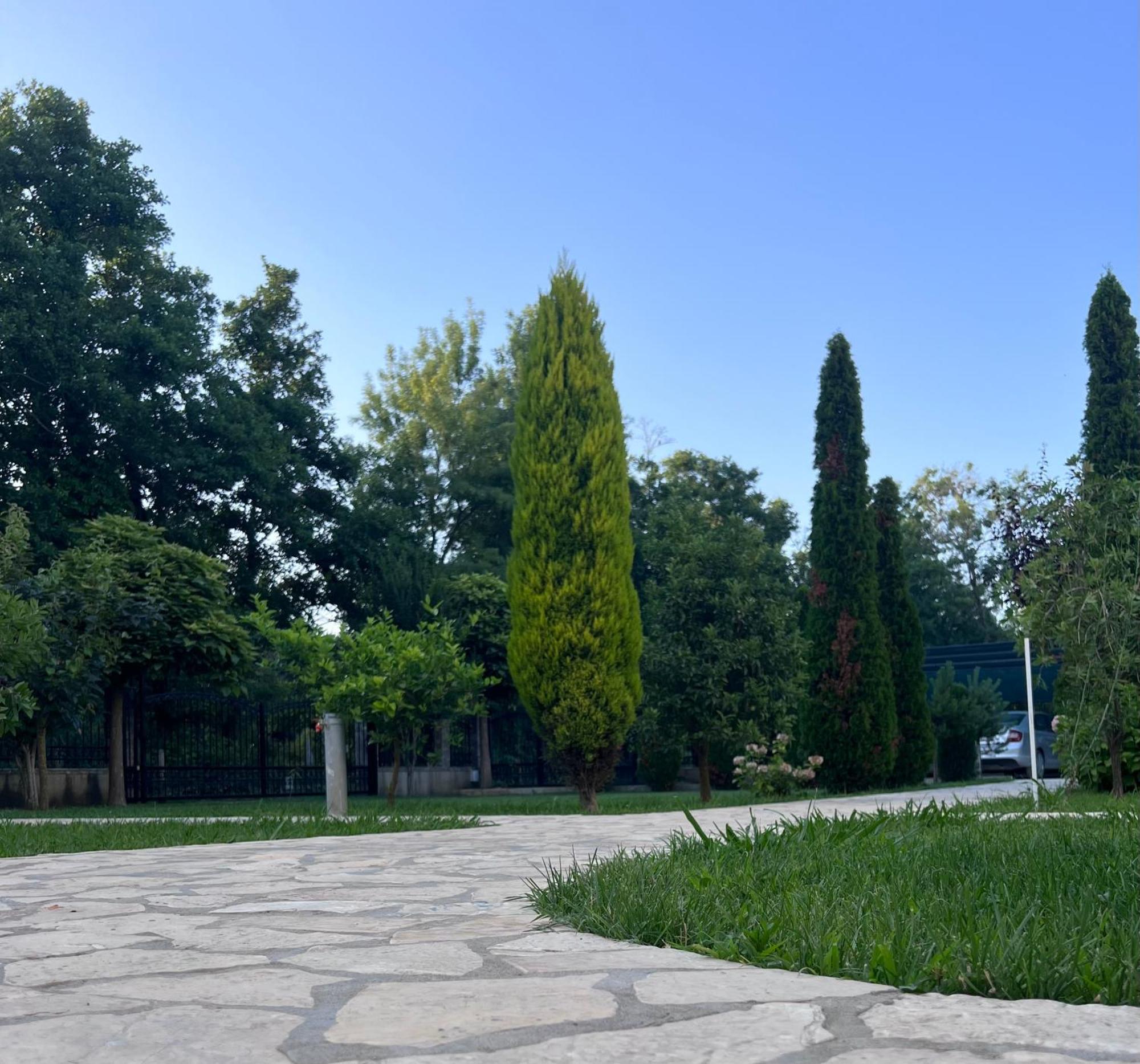 Residence Leora Ulcinj Exterior foto